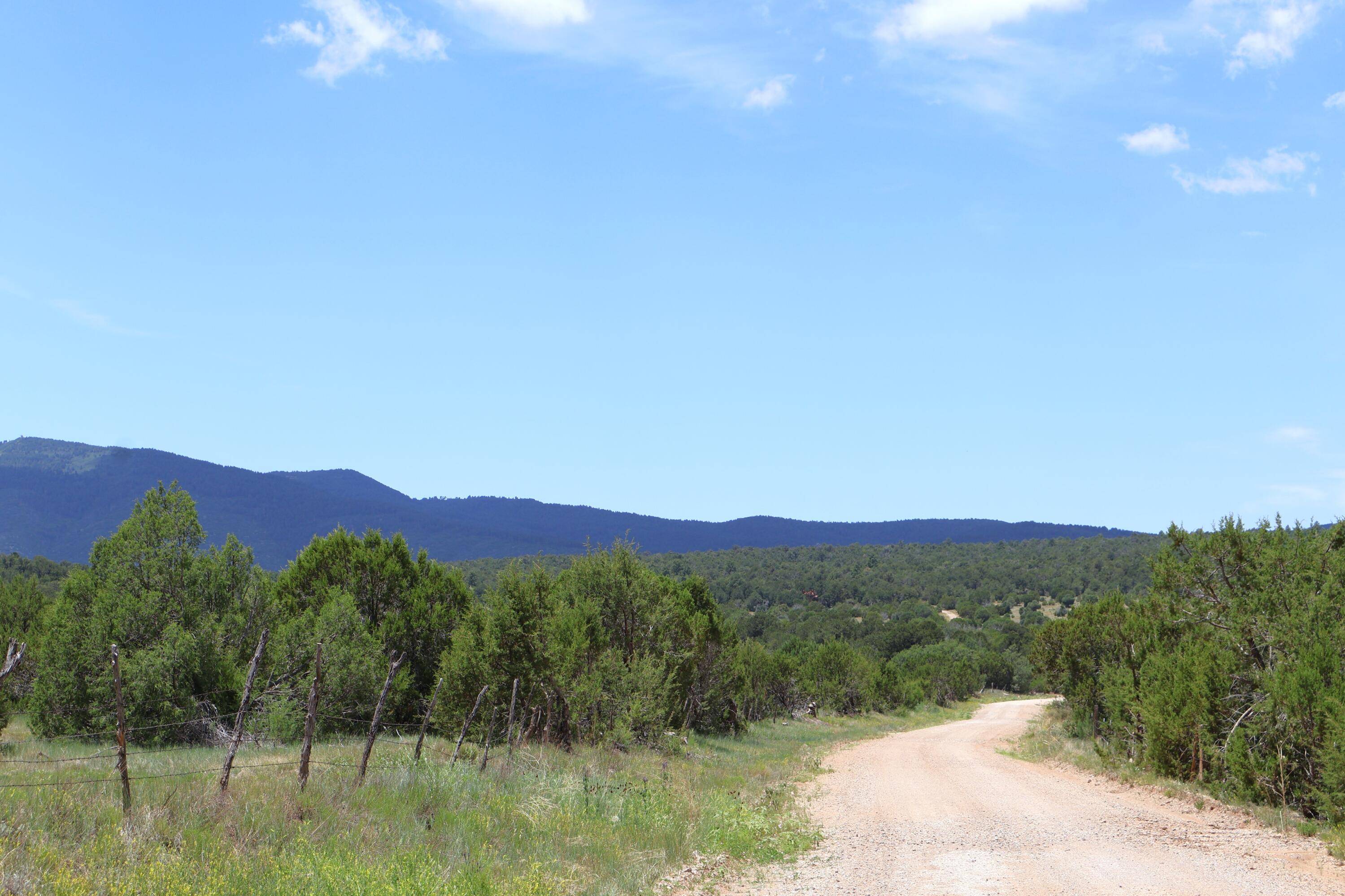 Lot 37 Sherwood Forest, Torreon, NM 87061
