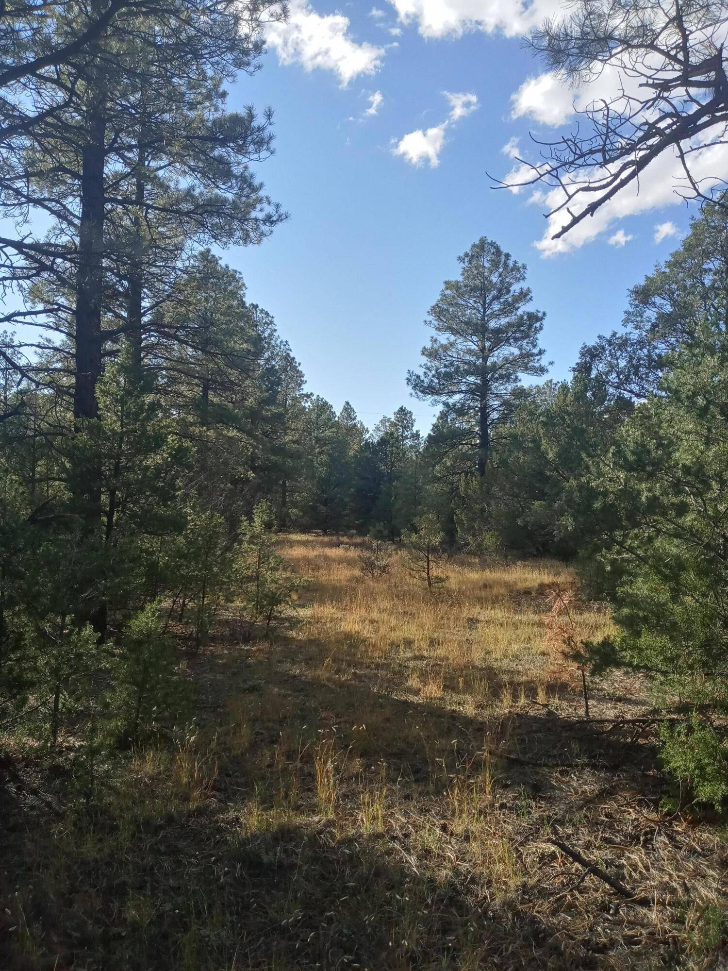 Lot 15 Yucca DR, Ramah, NM 87321
