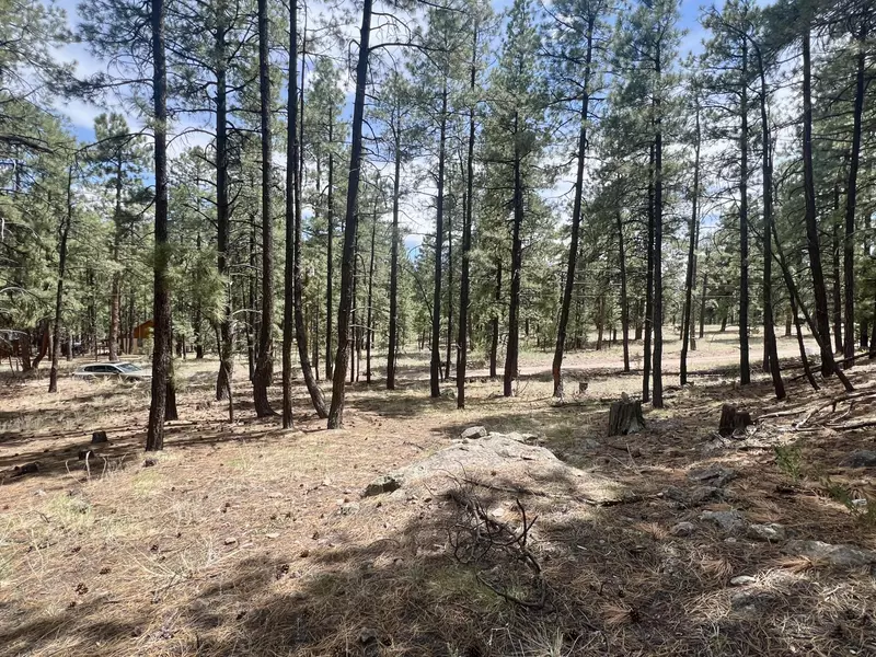 Lot 36 Spruce LOOP, Jemez Springs, NM 87025