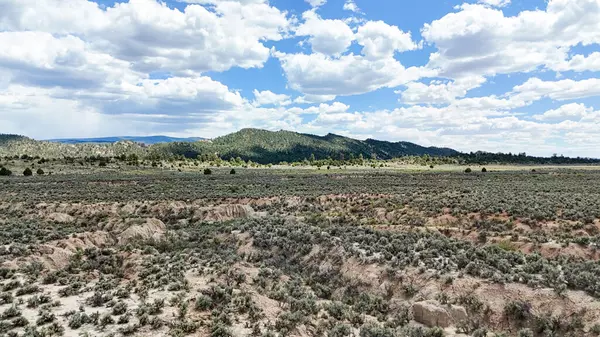 Regina, NM 87046,W1/2SE1/4 Sec 25