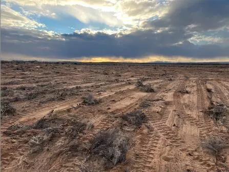 Los Lunas, NM 87031,Rodeo DR