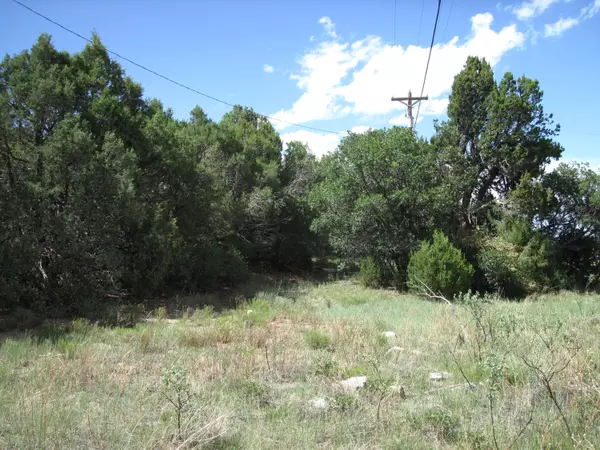 Tijeras, NM 87059,10433 NM 337 HWY
