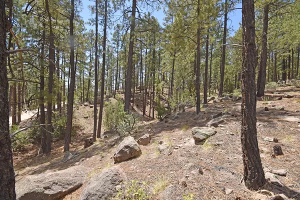 Jemez Springs, NM 87025,Lot 6A Cool Pines