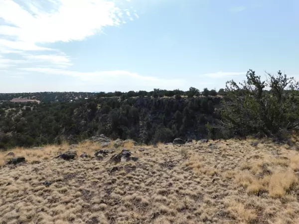 Quemado, NM 87829,COWBOY PASS