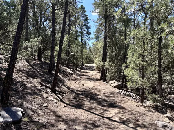 Tijeras, NM 87059,27 Green Shadows LN