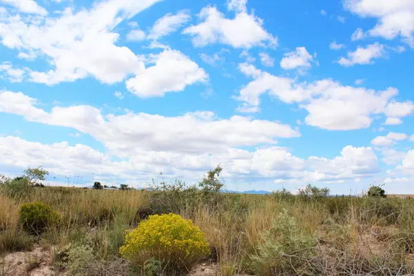 06 Mi Ranchitos RD, Estancia, NM 87016