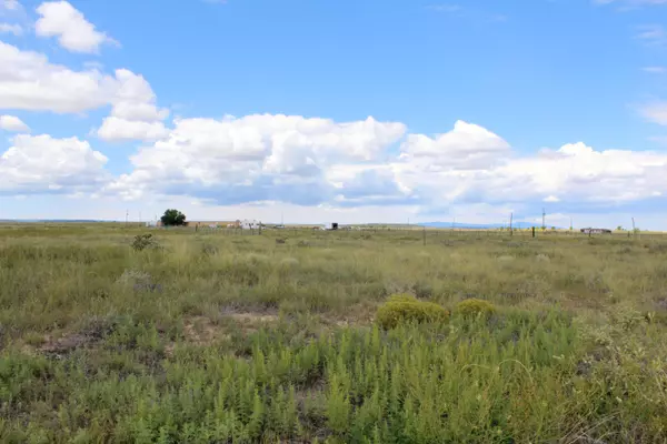 Estancia, NM 87016,06 Mi Ranchitos RD