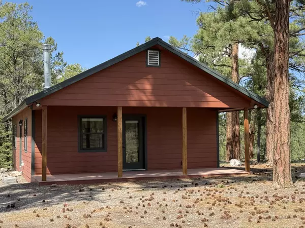 Quemado, NM 87829,88 EL CASO RD