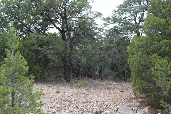 Tijeras, NM 87059,5 MANZANO LOOP