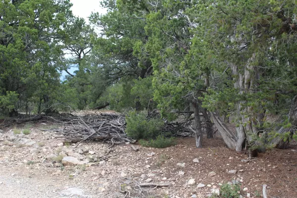 Tijeras, NM 87059,7 MANZANO LOOP