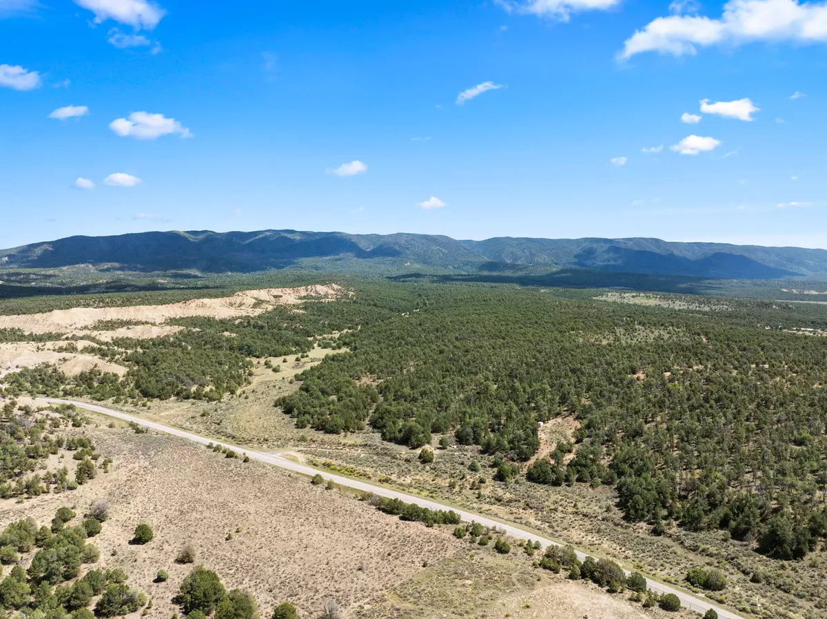 La Jara, NM 87027,TBD Highway 96