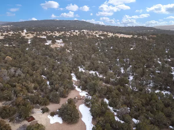 74 WOODLAND DR, Tijeras, NM 87059