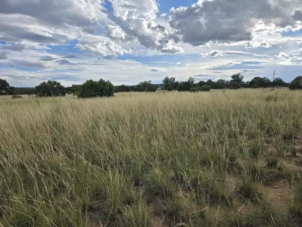 Edgewood, NM 87015,282 Dinkle RD