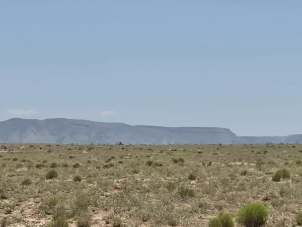 Belen, NM 87002,VL RGE Lot 14 15 Block 380 #14