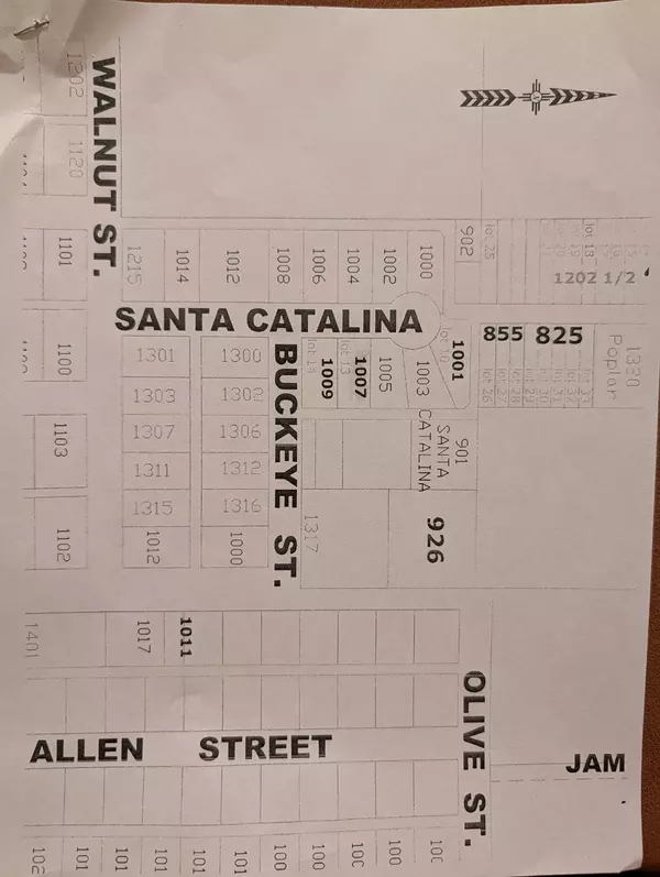 Deming, NM 88030,1007 S Santa Catalina ST