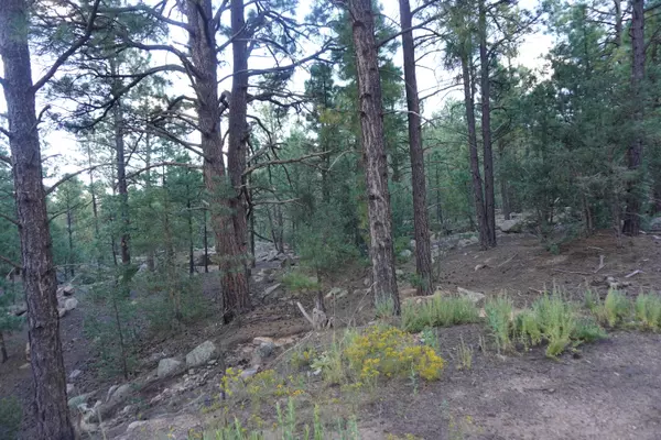 Pecos, NM 87552,County Road B-52