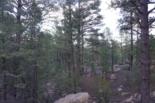 Pecos, NM 87552,County Road B-52