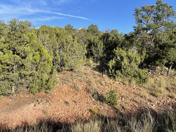 Sandia Park, NM 87047,15 Tigua DR