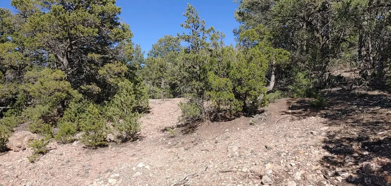 9 LAKEVIEW DR, Sandia Park, NM 87047