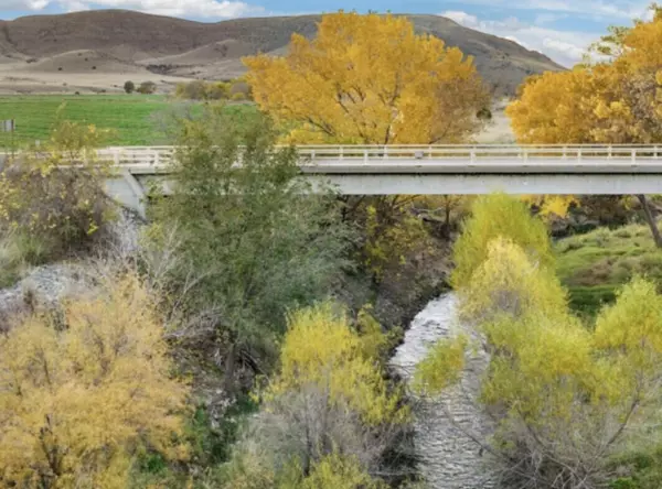 NM 88343,29224 U.S. Highway 70