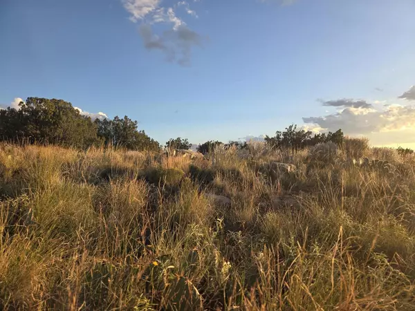 Los Lunas, NM 87031,RDO Lot: 3 Block: 73 #37