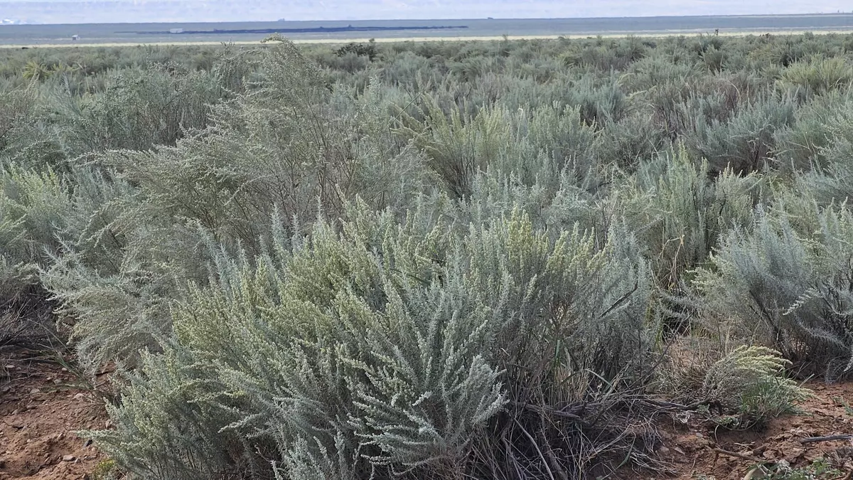 Rio Communities, NM 87002,VL LOTS 18 Block 377 #17