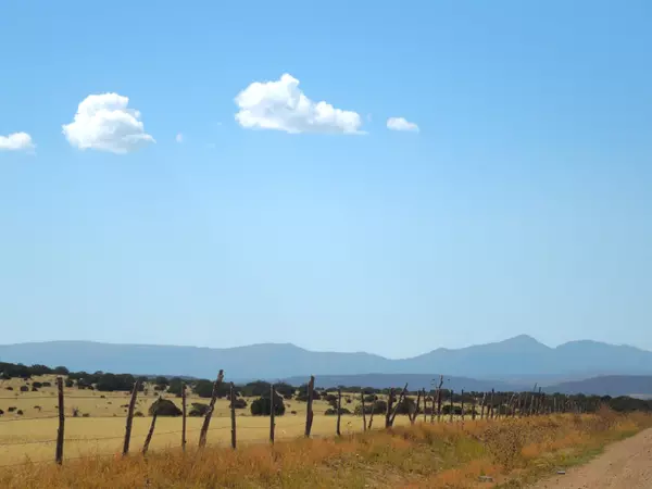Estancia, NM 87016,Lot 117 S