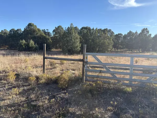 Edgewood, NM 87015,139 Holli LOOP