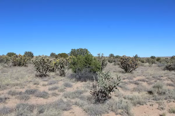 Rio Rancho, NM 87144,51st AVE NW