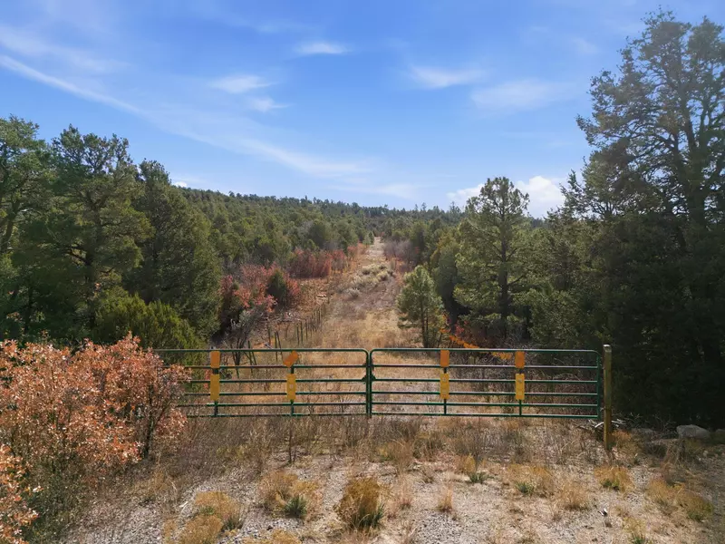 10 Hayner CT, Tijeras, NM 87059
