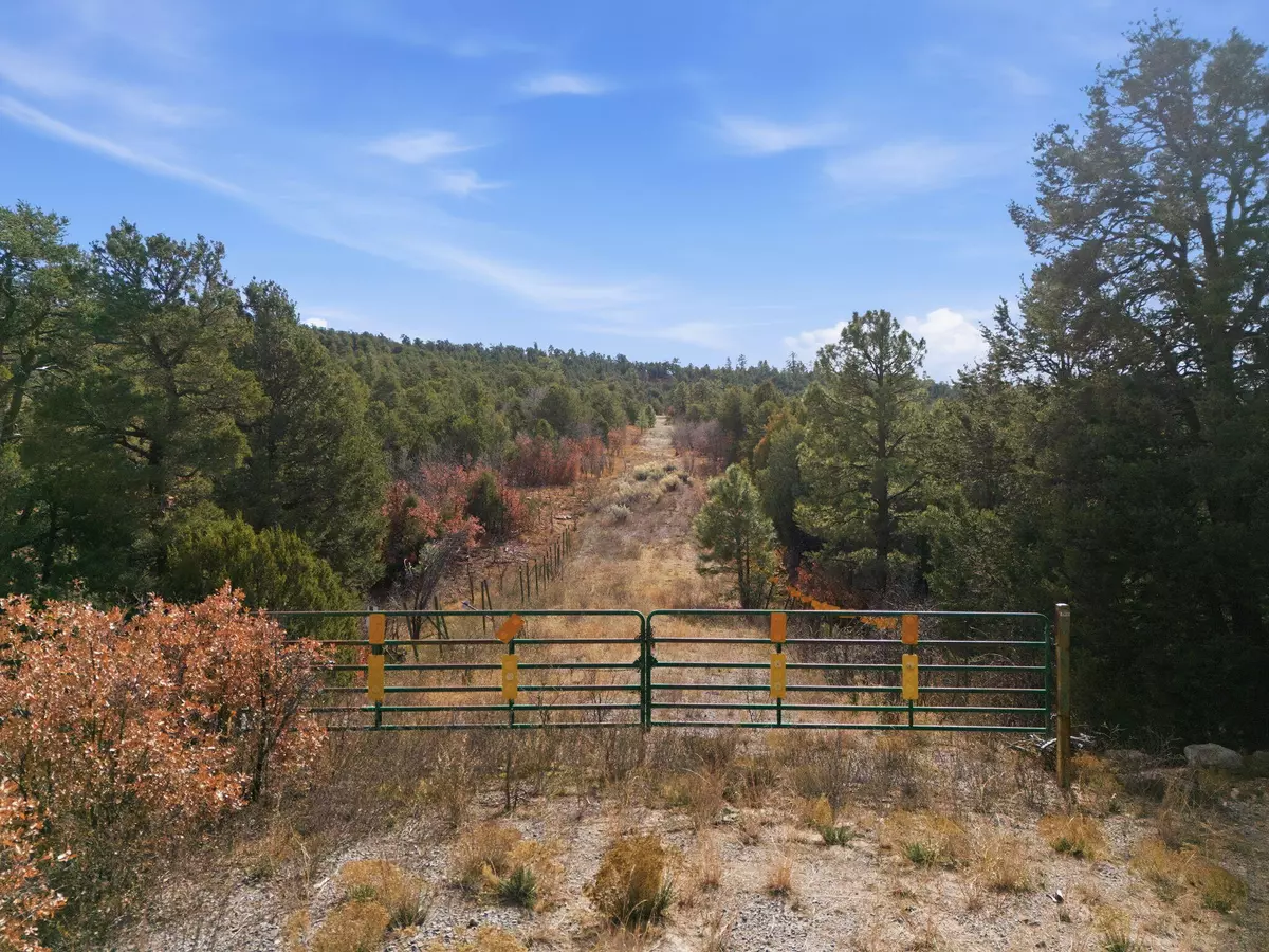 Tijeras, NM 87059,10 Hayner CT