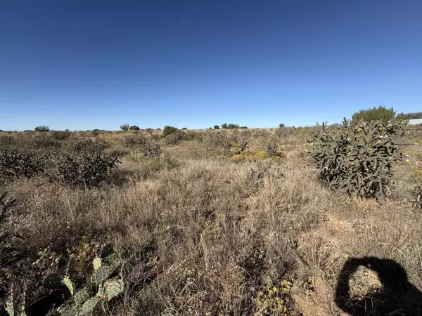 NM 88119,Lot 10 Quail