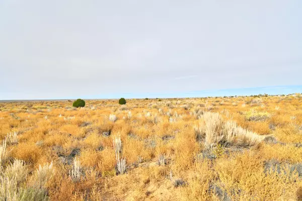 Rio Rancho, NM 87124,321 11th AVE SE