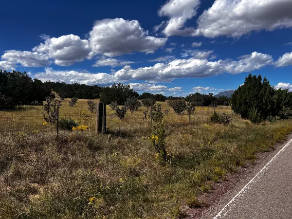 Edgewood, NM 87015,2068 OLD HY 66 (NM333)
