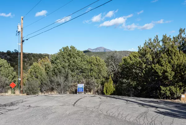 Cedar Crest, NM 87008,12 Twin Tree CT