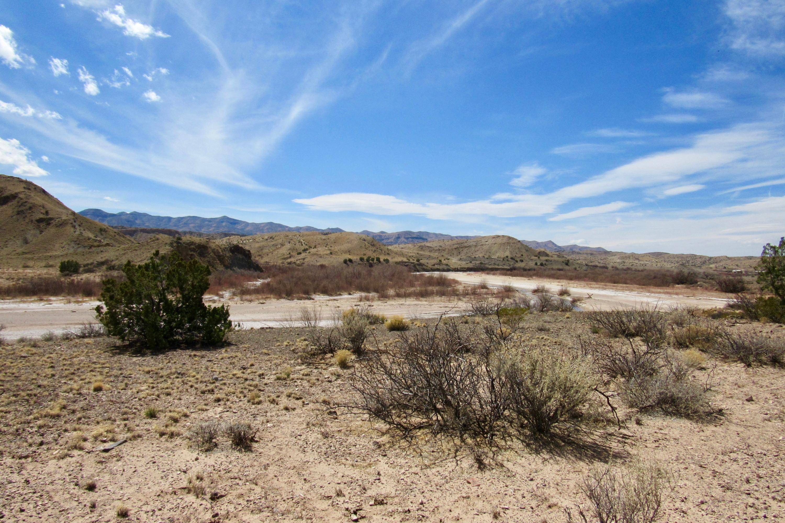Riley, NM 87825,65 Santa Rita Ranches