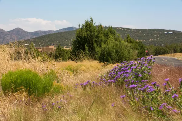 Sandia Park, NM 87047,26 PUNTA LINDA
