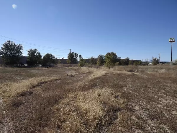 Moriarty, NM 87035,Poplar