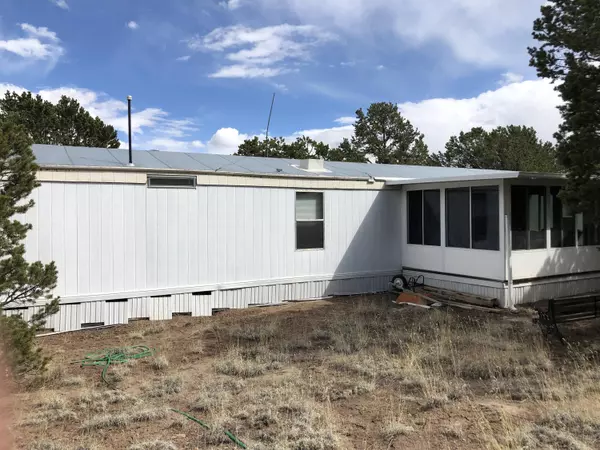 Datil, NM 87821,133 Homestead TRL