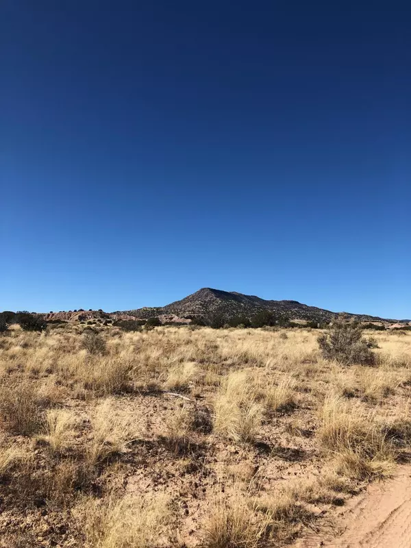 Abiquiu, NM 87510,Vacant Land