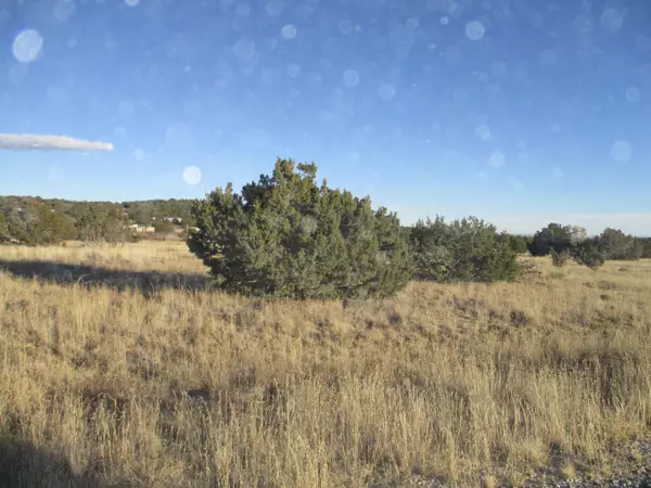 Edgewood, NM 87015,Lot 7 Blk 2 Woodland Hills