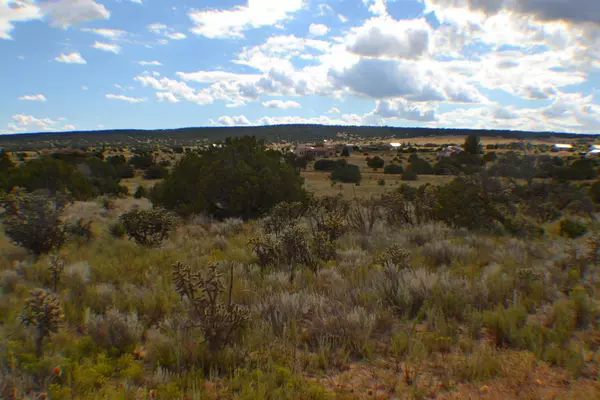 Edgewood, NM 87015,0 San Pedro LN