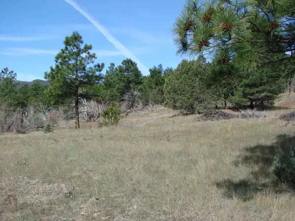 Manzano, NM 87016,Bartolo Rd.