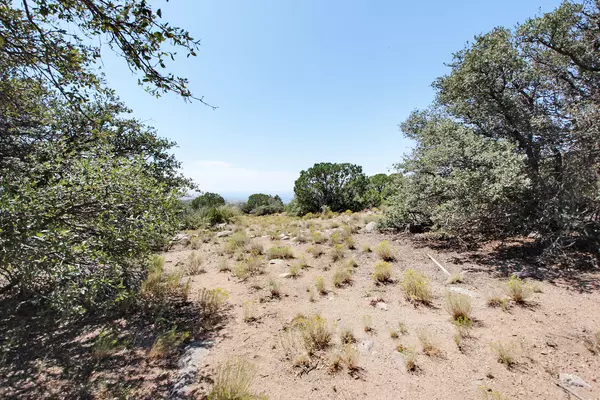 Albuquerque, NM 87122,233 Spring Creek CT NE