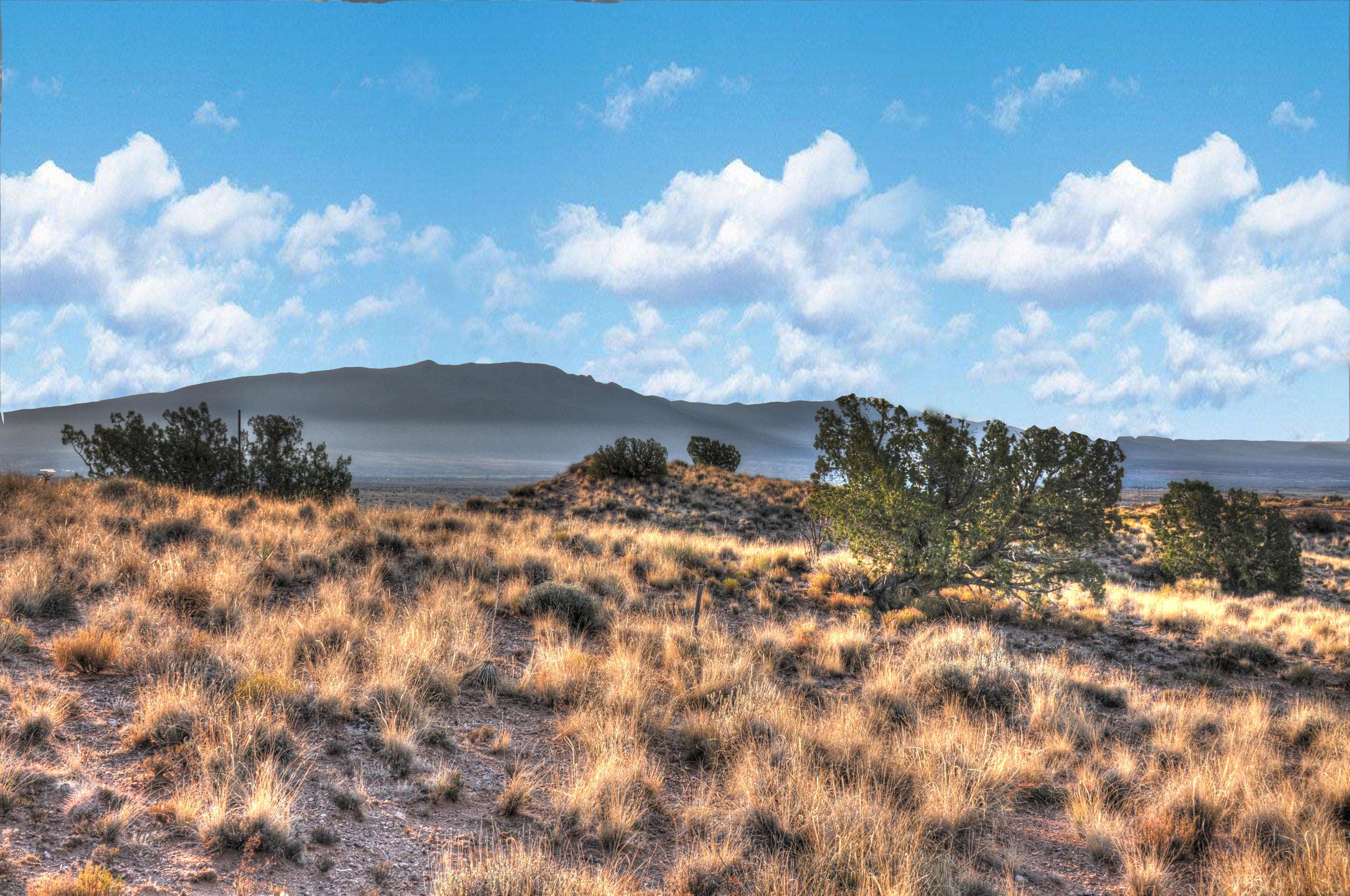 Rio Rancho, NM 87144,6124 Rooster Point PL NE
