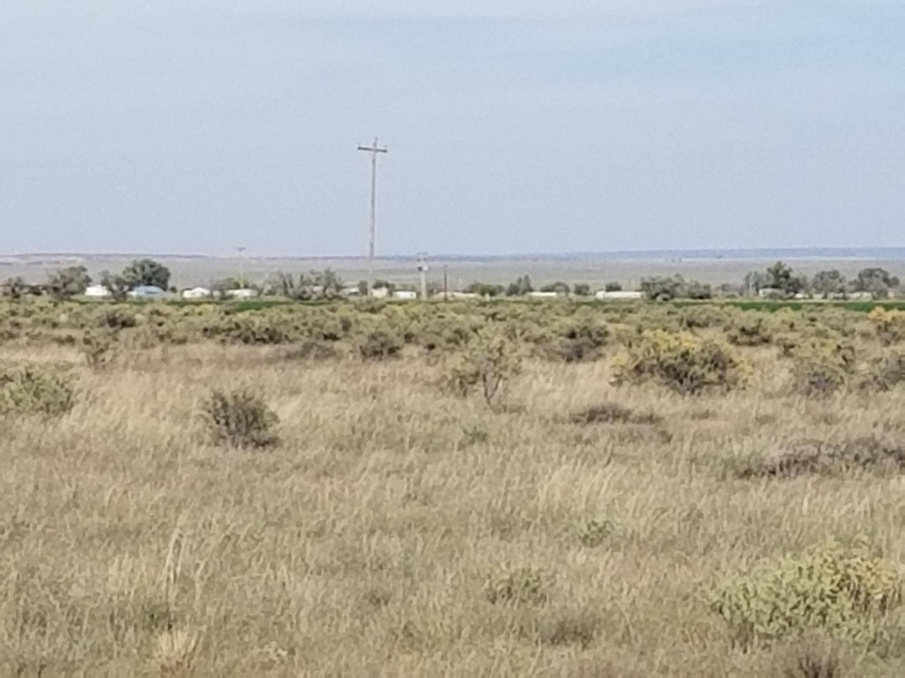 Address Not Disclosed