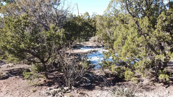 Sandia Park, NM 87047,6 Angeles Vista DR