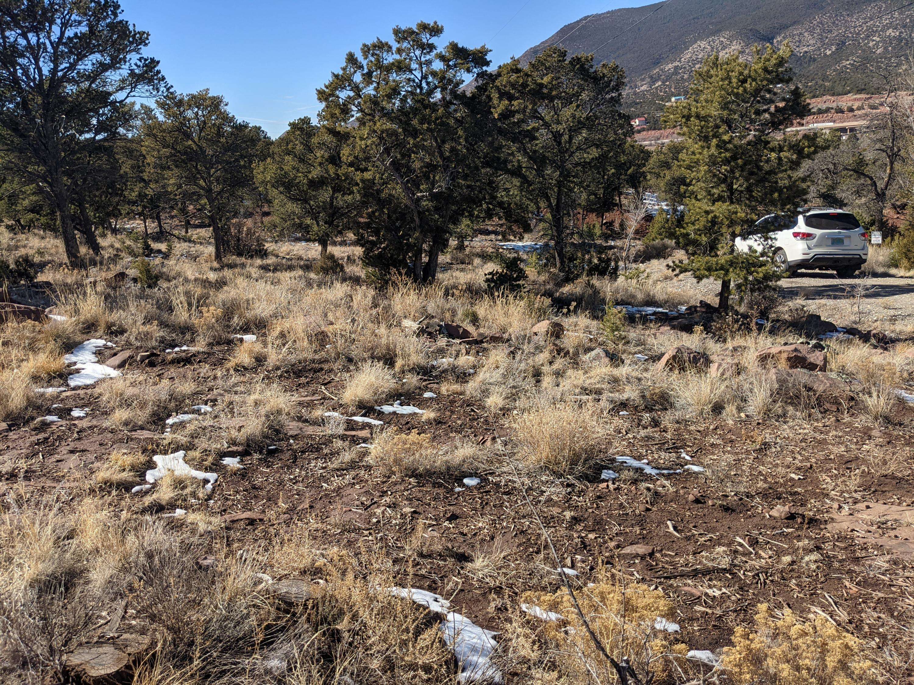 Tijeras, NM 87059,42 CALLE CONEJO