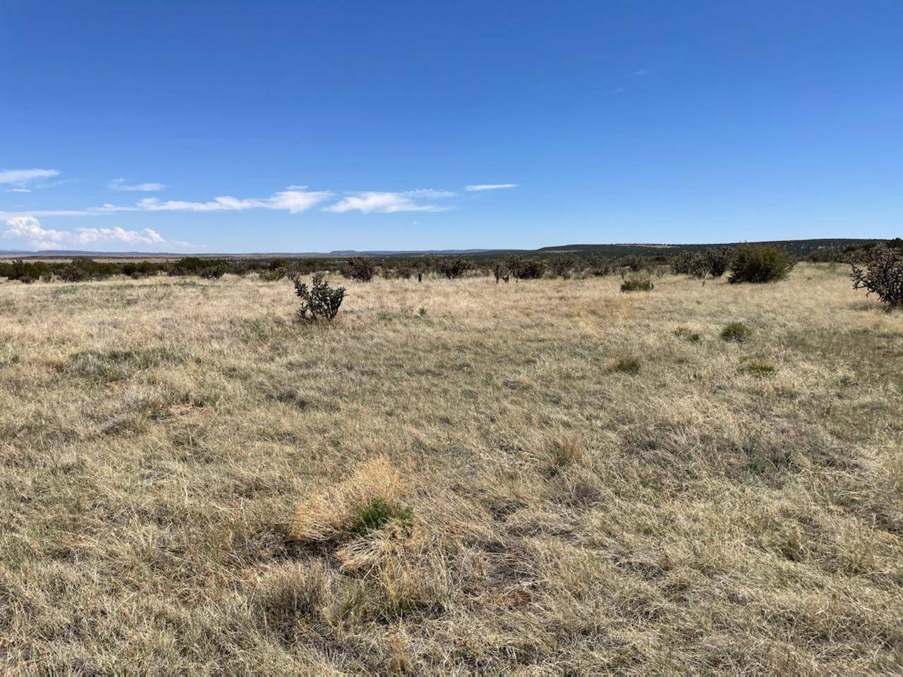 Manzano, NM 87016,Lots 10 & 1