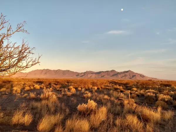 Deming, NM 88030,Copa de Oro Ranches Lot 90